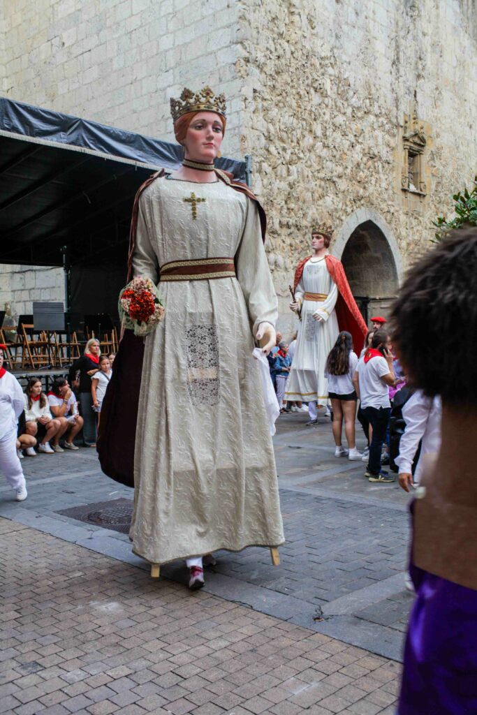MG_9863-683x1024 galeria