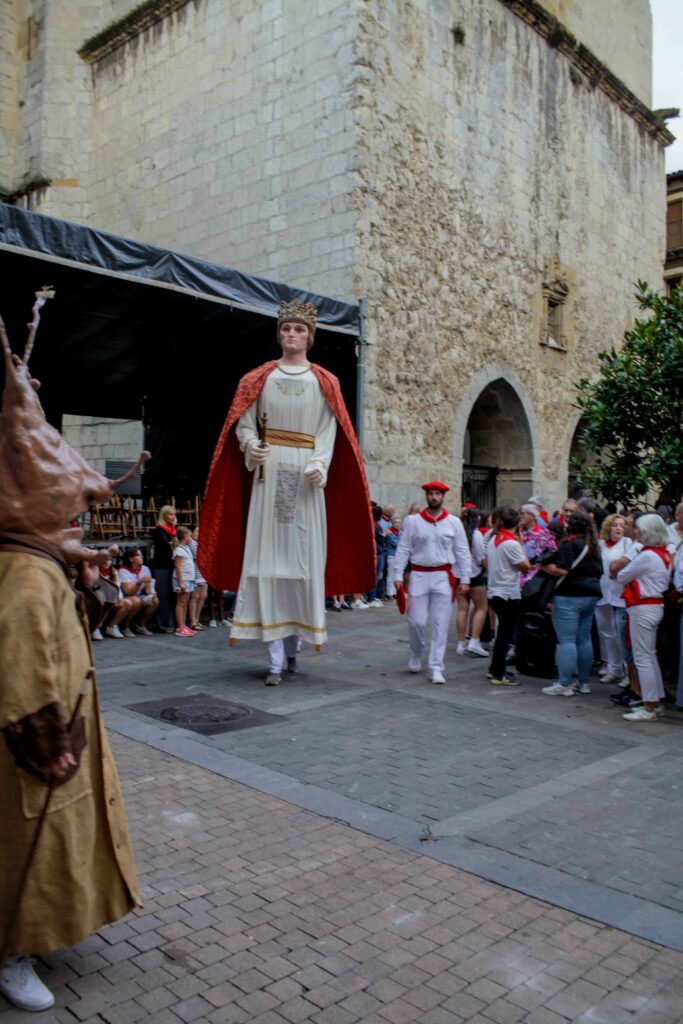 MG_9865-683x1024 galeria