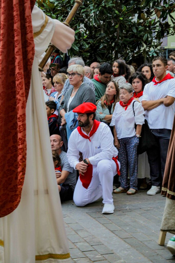 MG_9946-683x1024 galeria