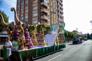 MG_0067-3-300x200 galeria
