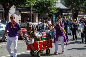 MG_0132-1-300x200 galeria